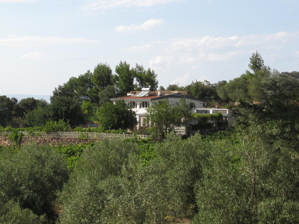 Villa Maria Dorgali Zimmer foto